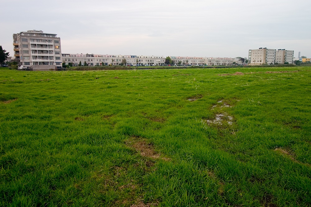 NIezabudowana parcela, porośnięta trawą, w tle linia zabudowy wielorodzinnej na granicy miasta