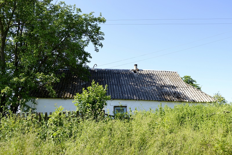 Dach starego domu widoczny ponad zarośniętym ogrodzeniem